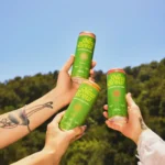 New Brew Variety Pack Euphoric Seltzer energy drinks