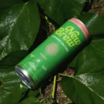 new brew guava non-alcholic drinks